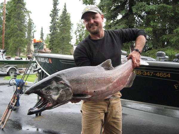 Fishing King Salmon on the Kenai River Guided King Salmon fishing