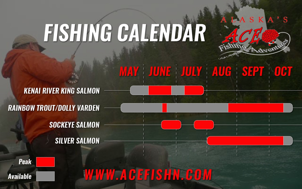 Kenai River Fishing Seasons Best Months To Fish Salmon In Alaska